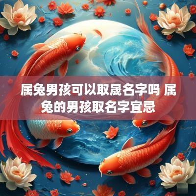 属兔男孩可以取晟名字吗 属兔的男孩取名字宜忌