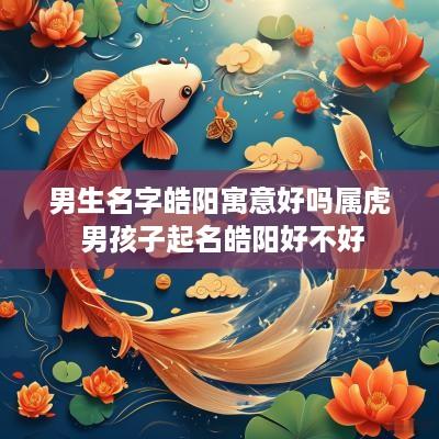 男生名字皓阳寓意好吗属虎 男孩子起名皓阳好不好