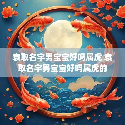 袁取名字男宝宝好吗属虎 袁取名字男宝宝好吗属虎的