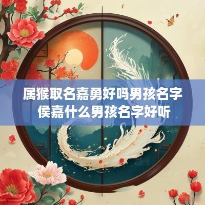 属猴取名嘉勇好吗男孩名字 侯嘉什么男孩名字好听