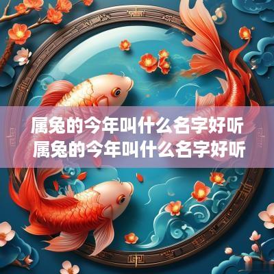 属兔的今年叫什么名字好听 属兔的今年叫什么名字好听点