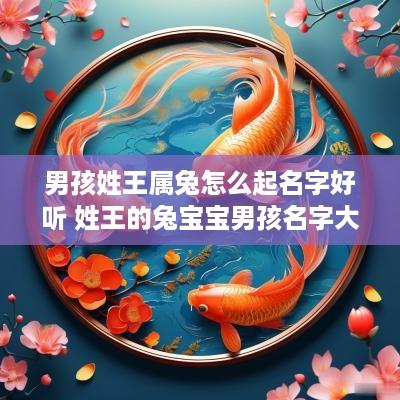 男孩姓王属兔怎么起名字好听 姓王的兔宝宝男孩名字大全免费