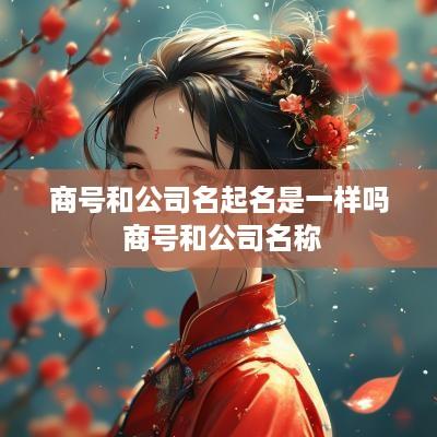 商号和公司名起名是一样吗 商号和公司名称