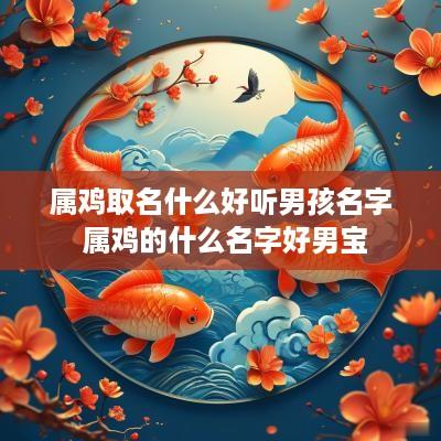 属鸡取名什么好听男孩名字 属鸡的什么名字好男宝