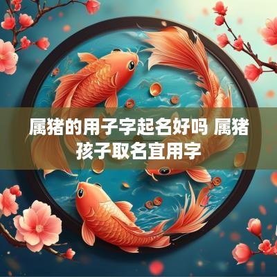 属猪的用子字起名好吗 属猪孩子取名宜用字