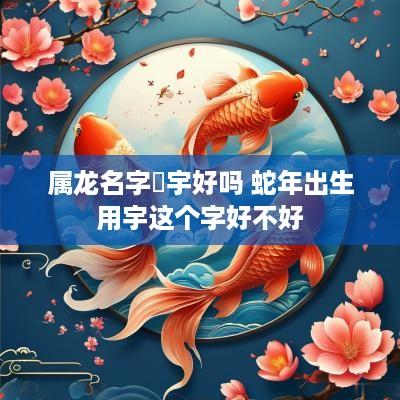 属龙名字淏宇好吗 蛇年出生用宇这个字好不好