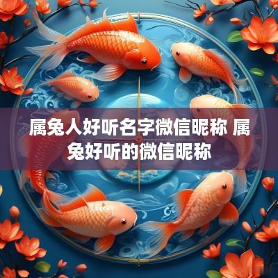 属兔人好听名字微信昵称 属兔好听的微信昵称