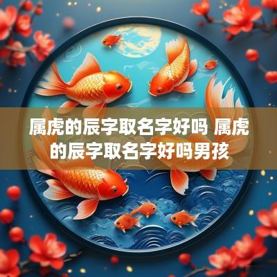 属虎的辰字取名字好吗 属虎的辰字取名字好吗男孩