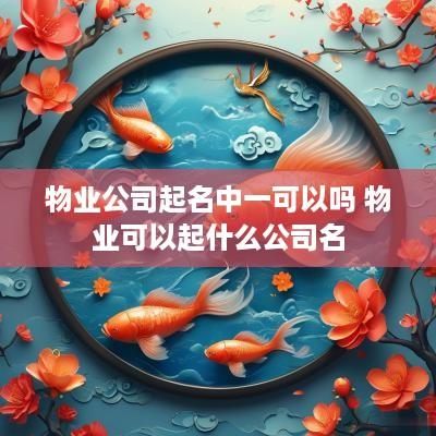物业公司起名中一可以吗 物业可以起什么公司名