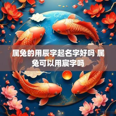 属兔的用辰字起名字好吗 属兔可以用宸字吗