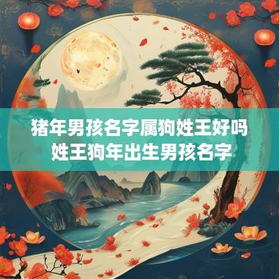 猪年男孩名字属狗姓王好吗 姓王狗年出生男孩名字