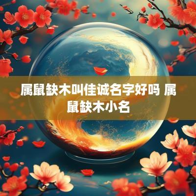 属鼠缺木叫佳诚名字好吗 属鼠缺木小名