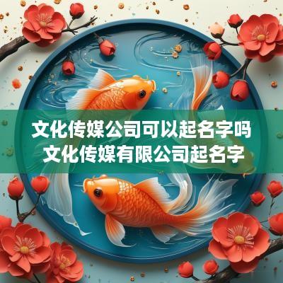 文化传媒公司可以起名字吗 文化传媒有限公司起名字