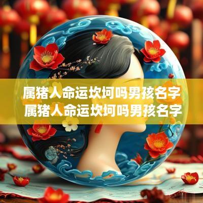属猪人命运坎坷吗男孩名字 属猪人命运坎坷吗男孩名字大全