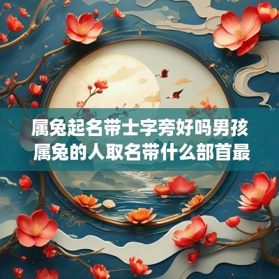 属兔起名带士字旁好吗男孩 属兔的人取名带什么部首最好?