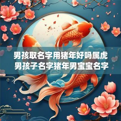 男孩取名字用猪年好吗属虎 男孩子名字猪年男宝宝名字