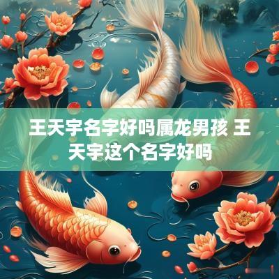 王天宇名字好吗属龙男孩 王天宇这个名字好吗