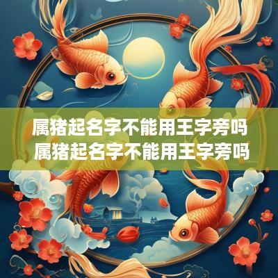 属猪起名字不能用王字旁吗 属猪起名字不能用王字旁吗怎么取名