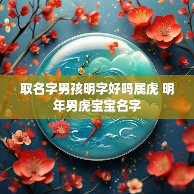 取名字男孩明字好吗属虎 明年男虎宝宝名字