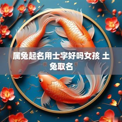 属兔起名用士字好吗女孩 土兔取名