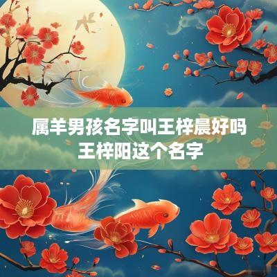 属羊男孩名字叫王梓晨好吗 王梓阳这个名字