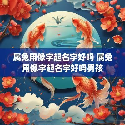 属兔用像字起名字好吗 属兔用像字起名字好吗男孩