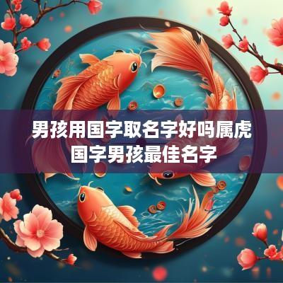 男孩用国字取名字好吗属虎 国字男孩最佳名字