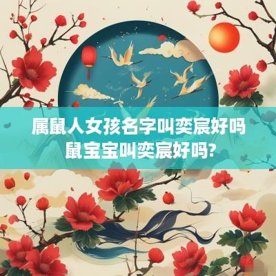 属鼠人女孩名字叫奕宸好吗 鼠宝宝叫奕宸好吗?