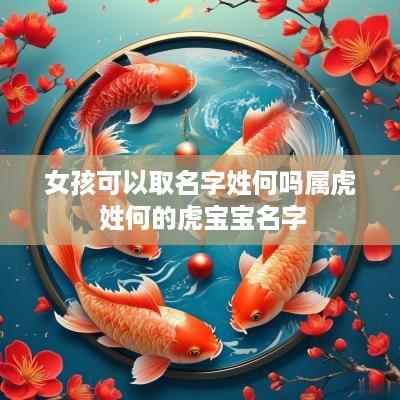 女孩可以取名字姓何吗属虎 姓何的虎宝宝名字