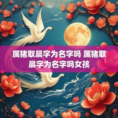 属猪取晨字为名字吗 属猪取晨字为名字吗女孩