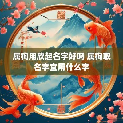 属狗用欣起名字好吗 属狗取名字宜用什么字