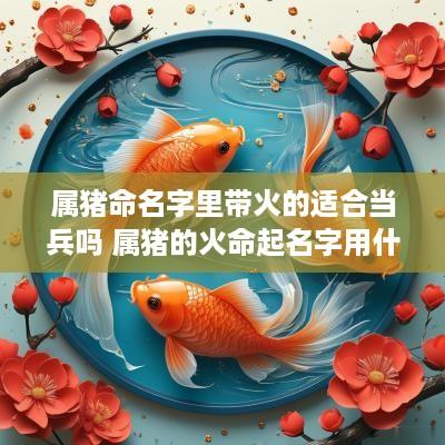 属猪命名字里带火的适合当兵吗 属猪的火命起名字用什么字好