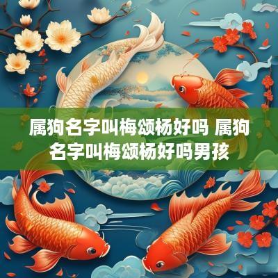 属狗名字叫梅颂杨好吗 属狗名字叫梅颂杨好吗男孩