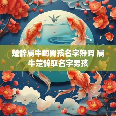 楚辞属牛的男孩名字好吗 属牛楚辞取名字男孩