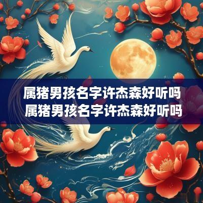 属猪男孩名字许杰森好听吗 属猪男孩名字许杰森好听吗