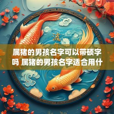 属猪的男孩名字可以带硕字吗 属猪的男孩名字适合用什么字