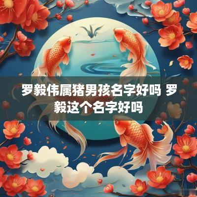 罗毅伟属猪男孩名字好吗 罗毅这个名字好吗