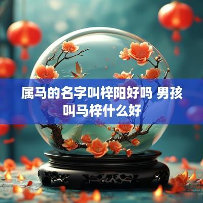 属马的名字叫梓阳好吗 男孩叫马梓什么好