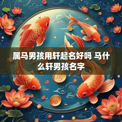 属马男孩用轩起名好吗 马什么轩男孩名字