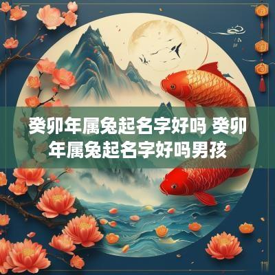 癸卯年属兔起名字好吗 癸卯年属兔起名字好吗男孩