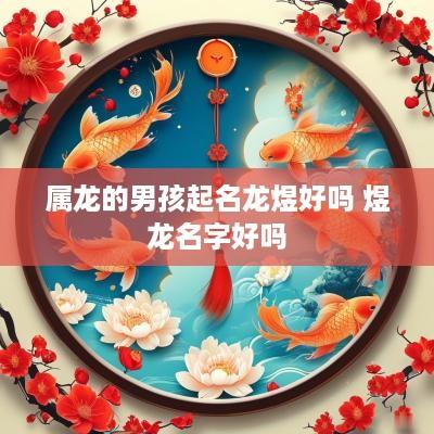 属龙的男孩起名龙煜好吗 煜龙名字好吗