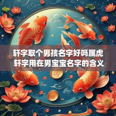 轩字取个男孩名字好吗属虎 轩字用在男宝宝名字的含义