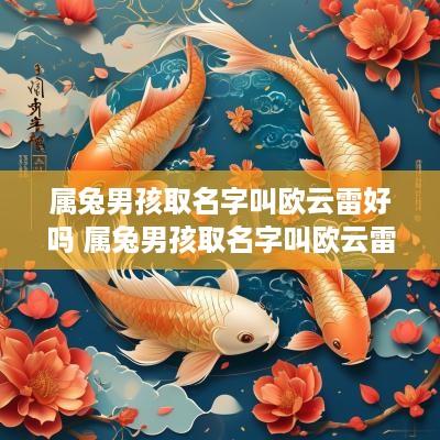 属兔男孩取名字叫欧云雷好吗 属兔男孩取名字叫欧云雷好吗