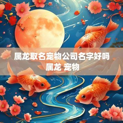 属龙取名宠物公司名字好吗 属龙 宠物