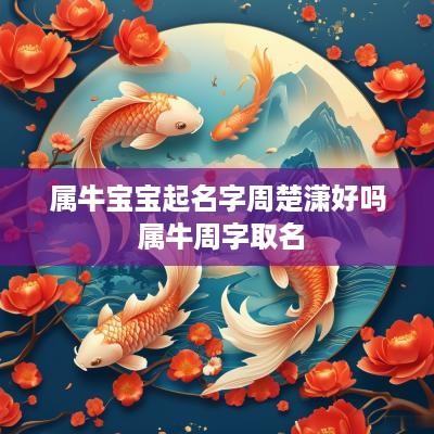 属牛宝宝起名字周楚潇好吗 属牛周字取名