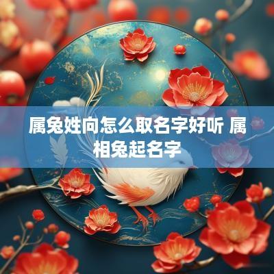 属兔姓向怎么取名字好听 属相兔起名字