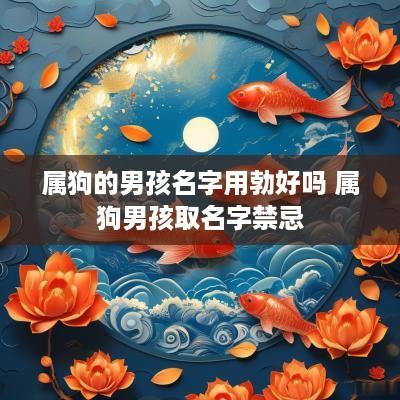 属狗的男孩名字用勃好吗 属狗男孩取名字禁忌