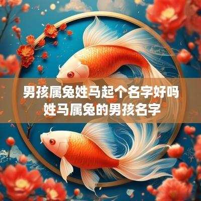 男孩属兔姓马起个名字好吗 姓马属兔的男孩名字