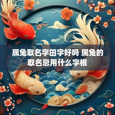 属兔取名字田字好吗 属兔的取名忌用什么字根