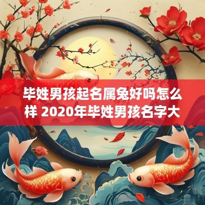 毕姓男孩起名属兔好吗怎么样 2025年毕姓男孩名字大全